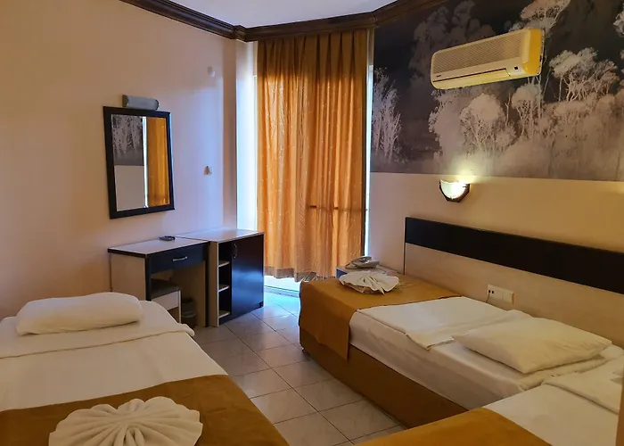 酒店 克列奥帕特拉酒店 3*